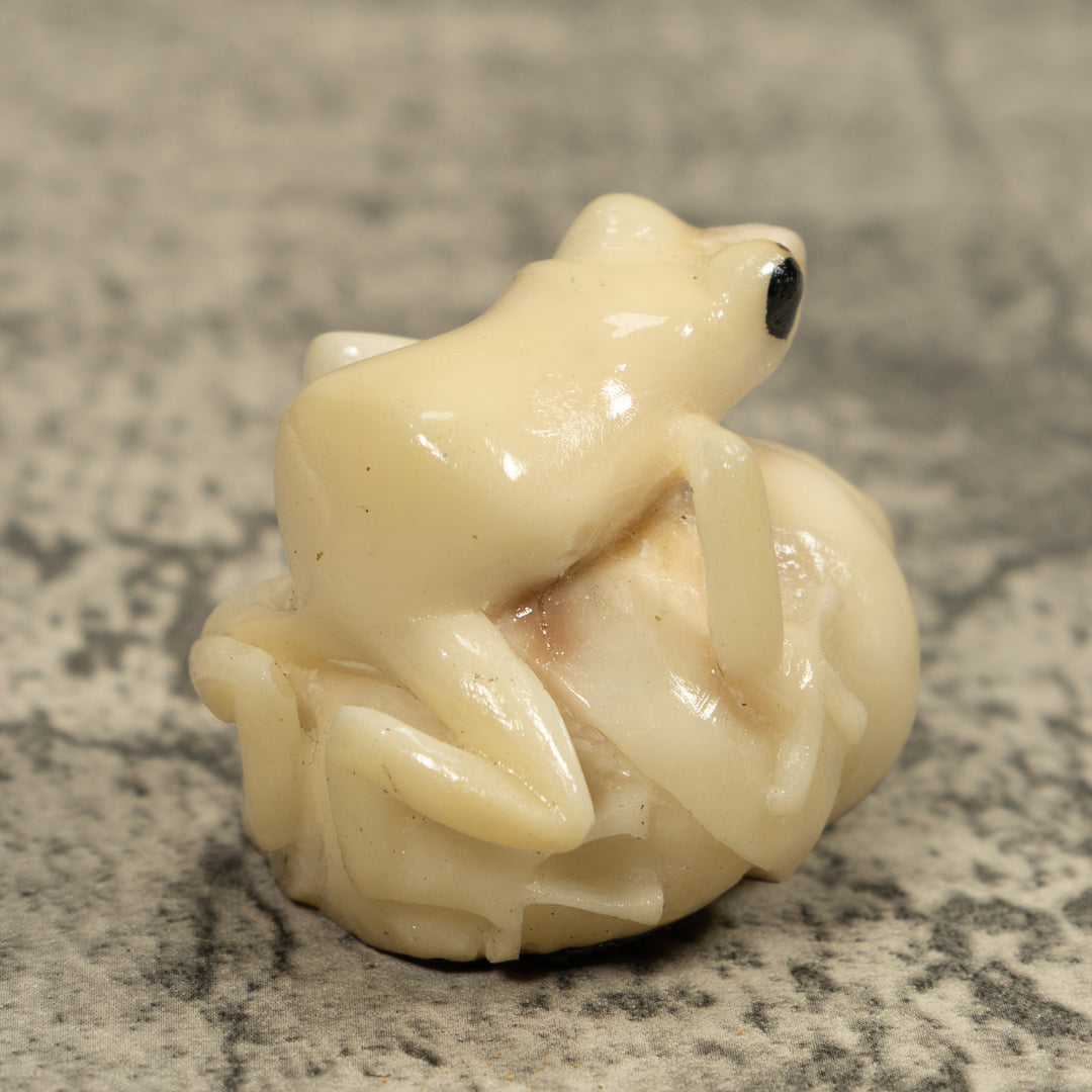 White Natural Frog Tagua Carving