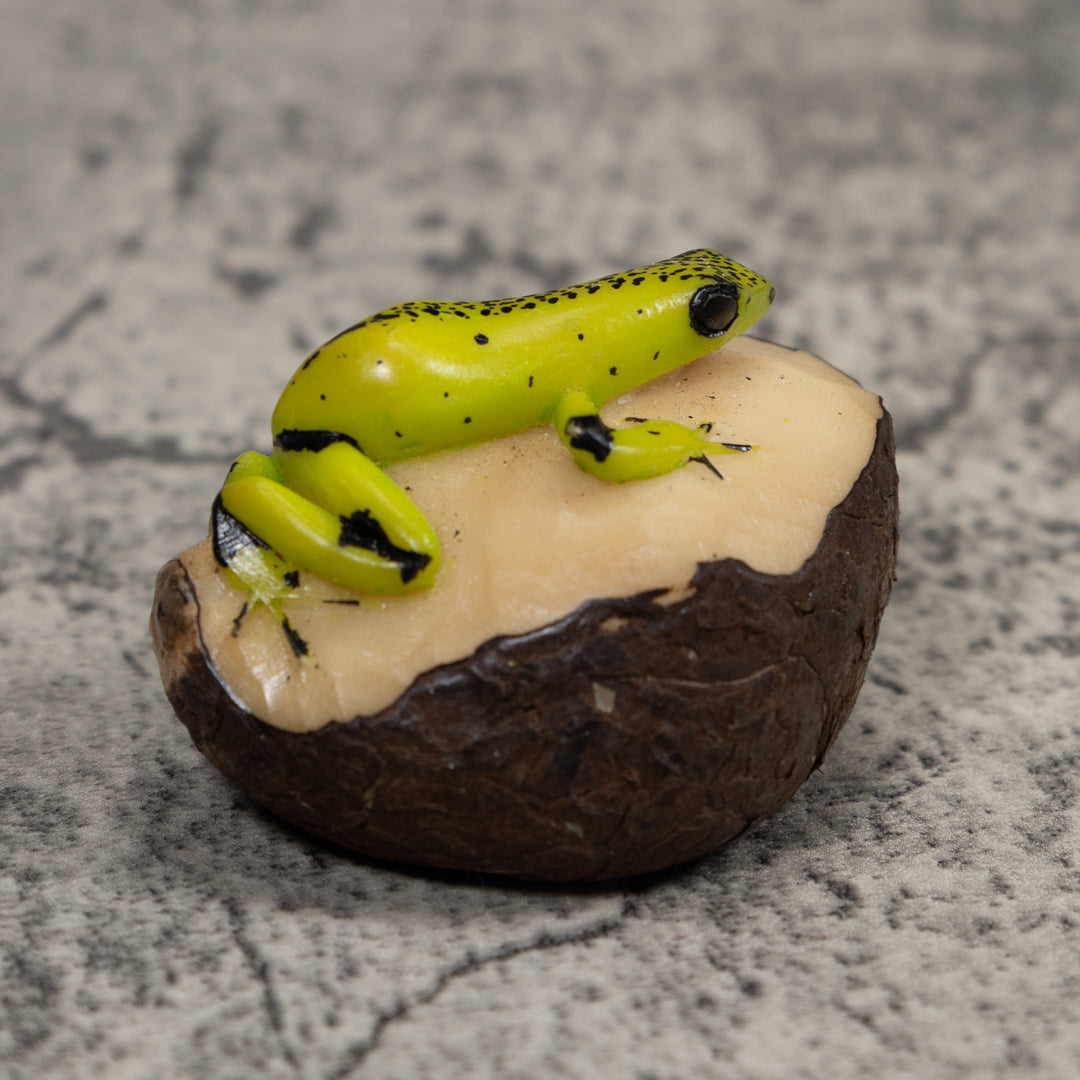 Poison Dart Frog Tagua Carving