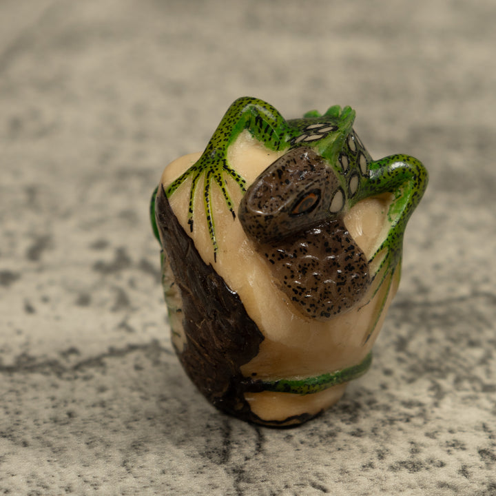 Iguana Lizard Reptile Tagua Carving