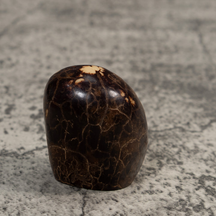 Christmas Creche Tagua Carving