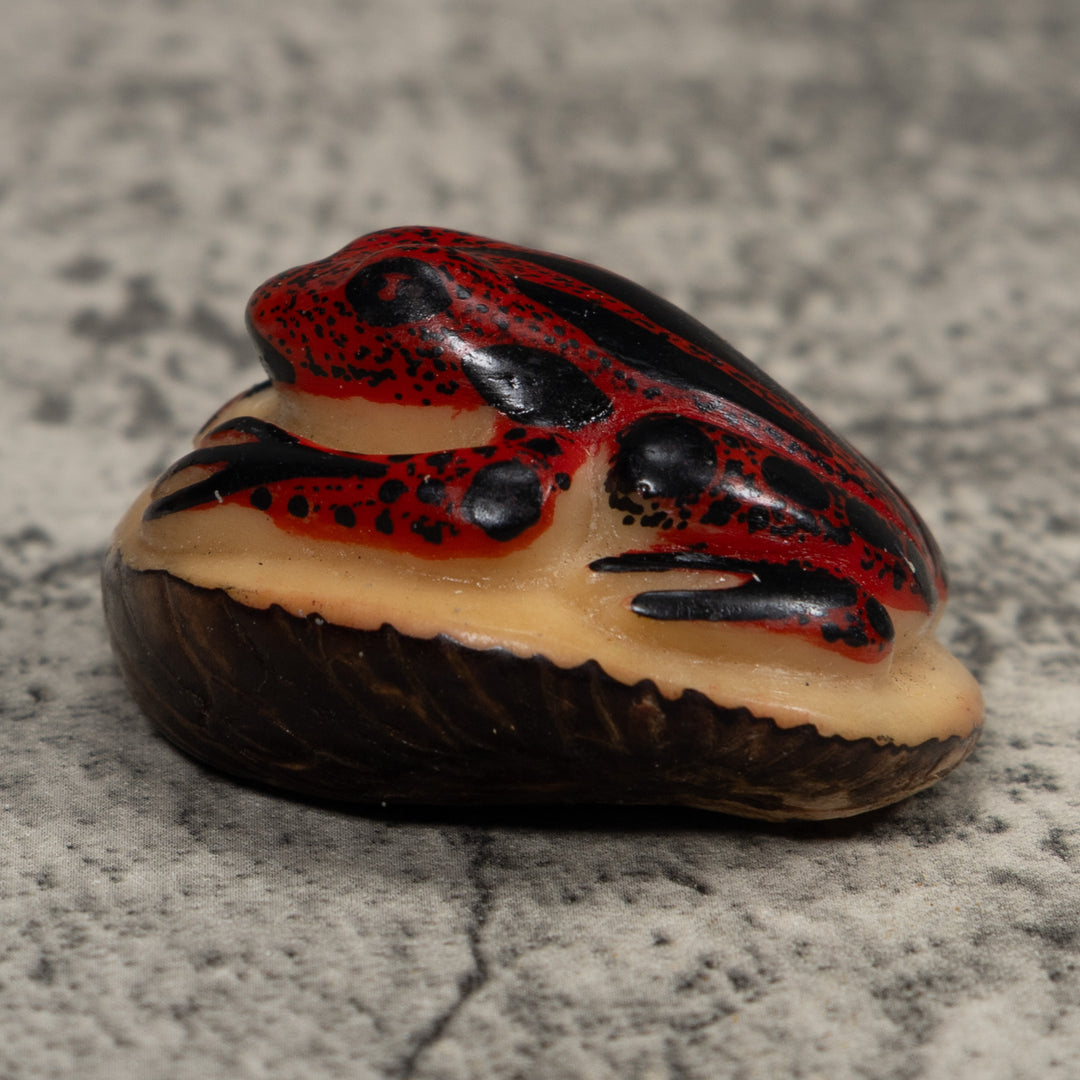 Vintage Dark Red And Black Frog Tagua Carving