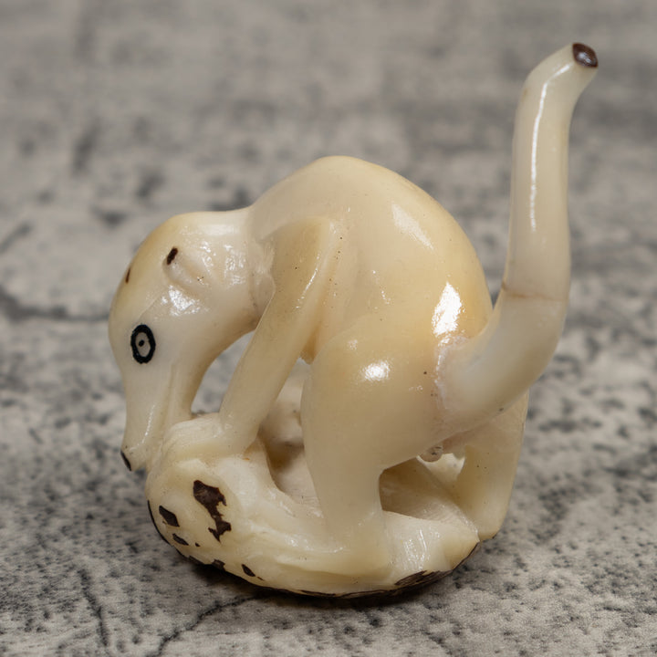 White Natural Coatimundi Eating Yucca Tagua Carving