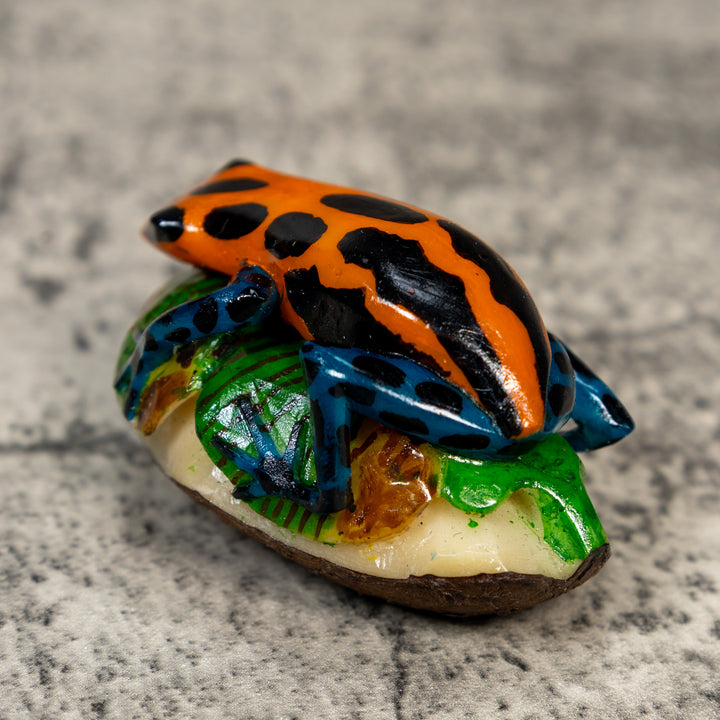 Orange Black And Blue Poison Dart Frog Tagua Carving