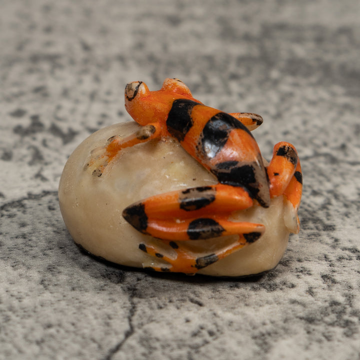 Vintage Orange And Black Poison Dart Frog Tagua Carving