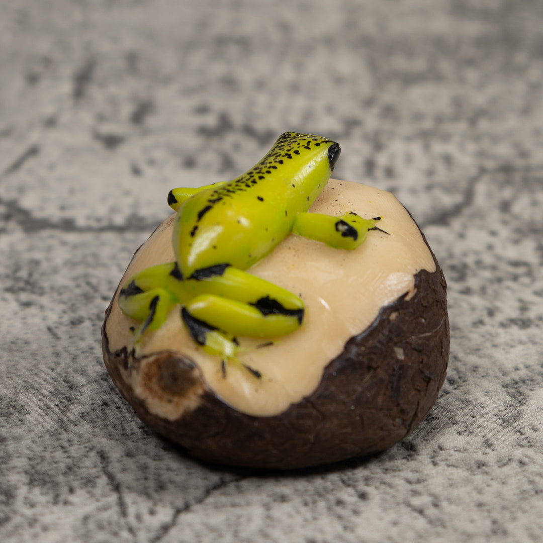 Poison Dart Frog Tagua Carving