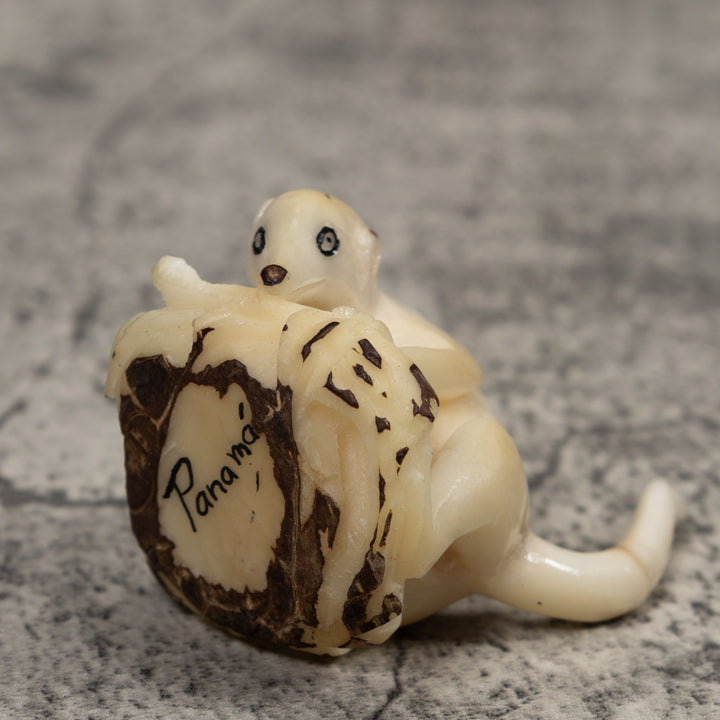 White Natural Coatimundi Eating Yucca Tagua Carving