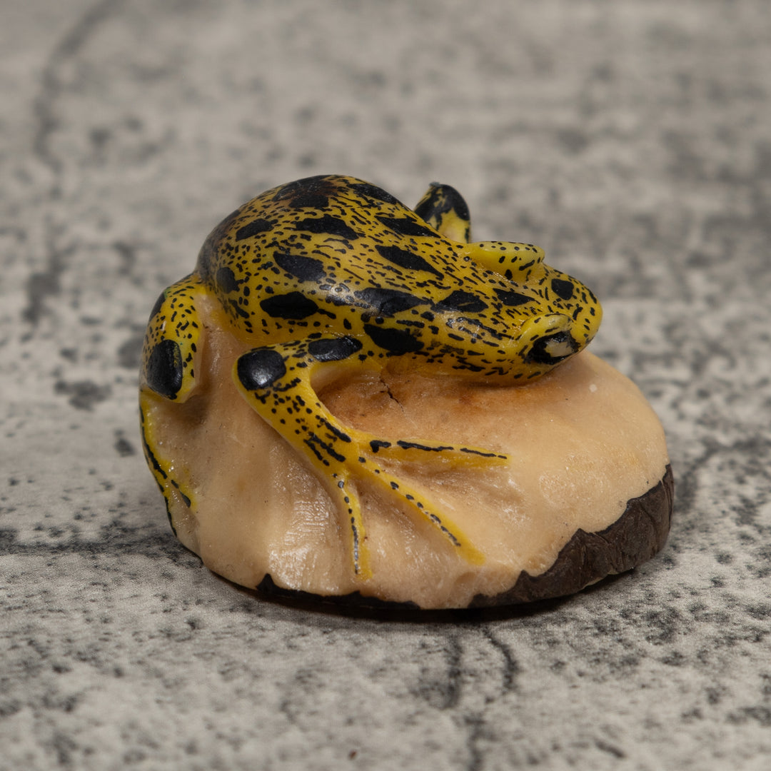 Poison Dart Frog Tagua Carving