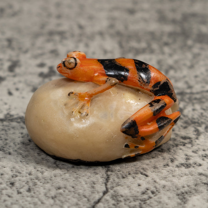Vintage Orange And Black Poison Dart Frog Tagua Carving