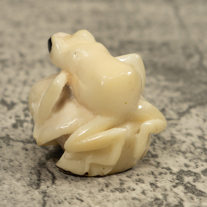 White Natural Frog Tagua Carving