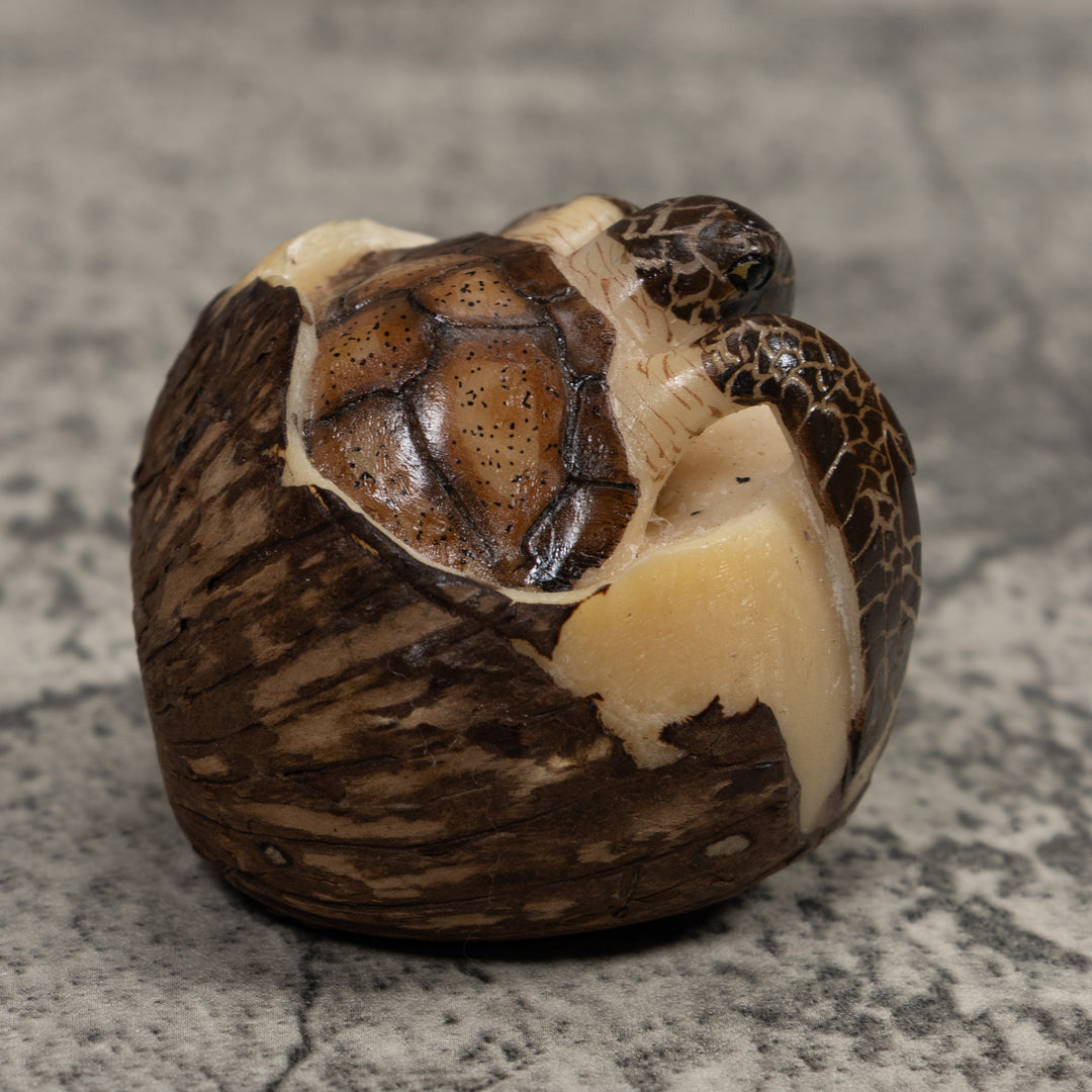 Sea Turtle Emerging From Egg Tagua Carving
