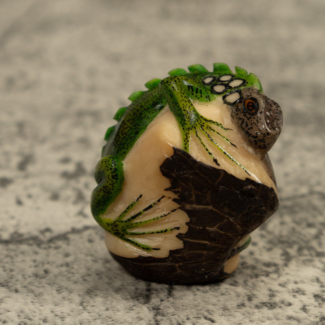 Iguana Lizard Reptile Tagua Carving