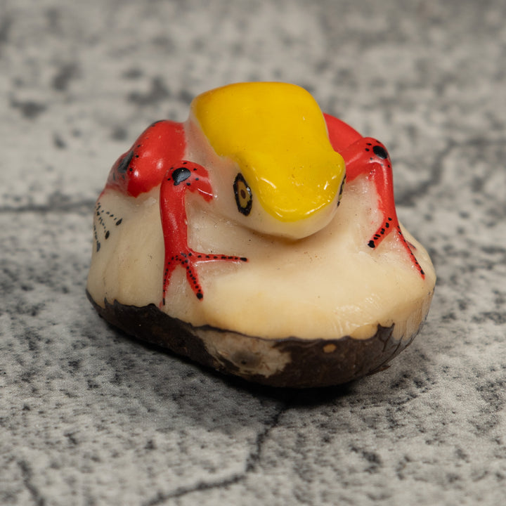 Red And Yellow Poison Dart Frog Tagua Carving