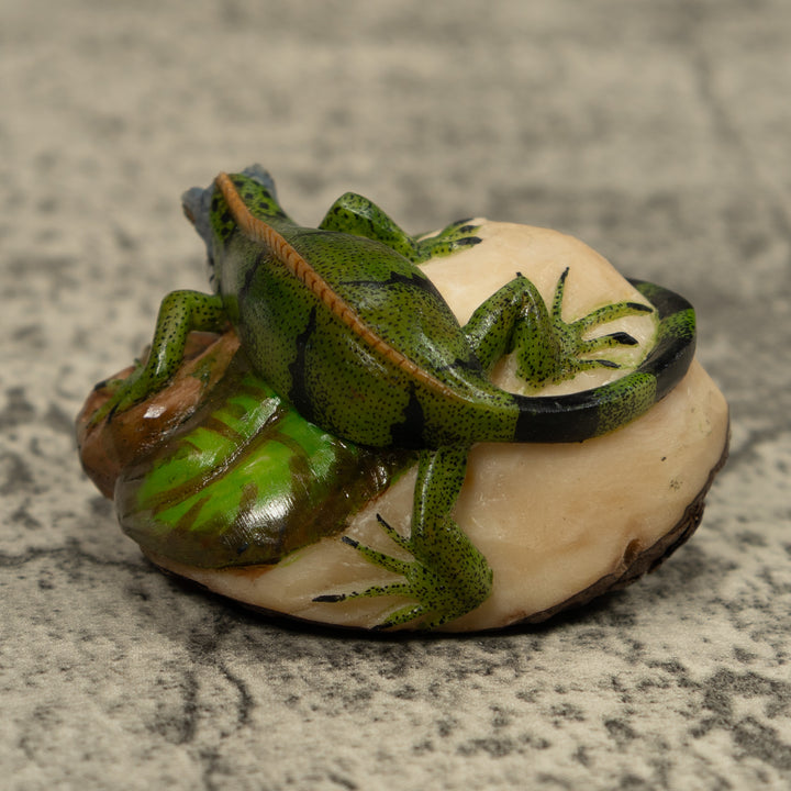 Iguana Lizard Reptile Tagua Carving