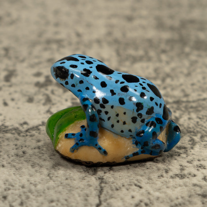 Poison Dart Blue Frog Tagua Carving