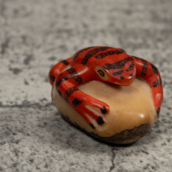 Vintage Red And Black Poison Dart Frog Tagua Carving