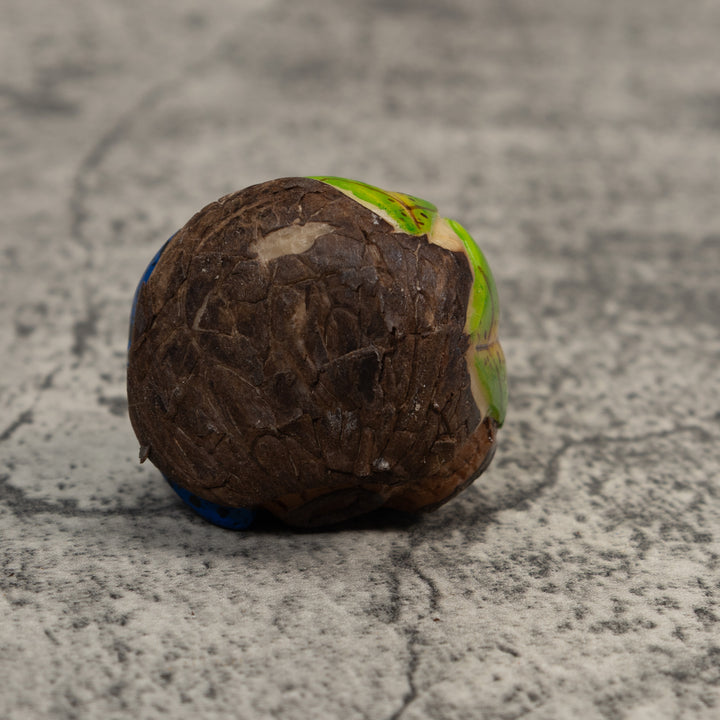 Blue And Black Poison Dart Frog Tagua Carving