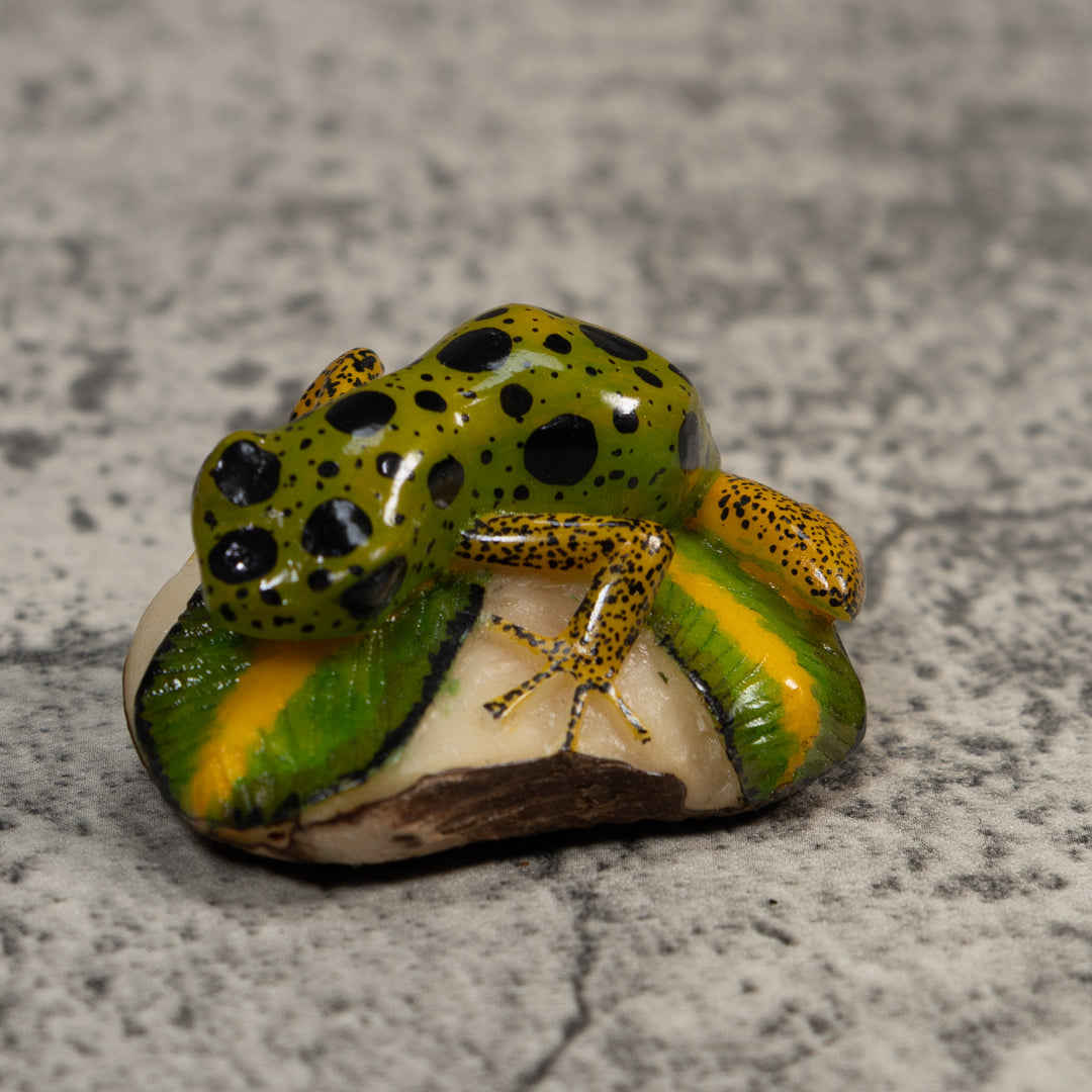 Green Gold And Black Poison Dart Frog Tagua Carving