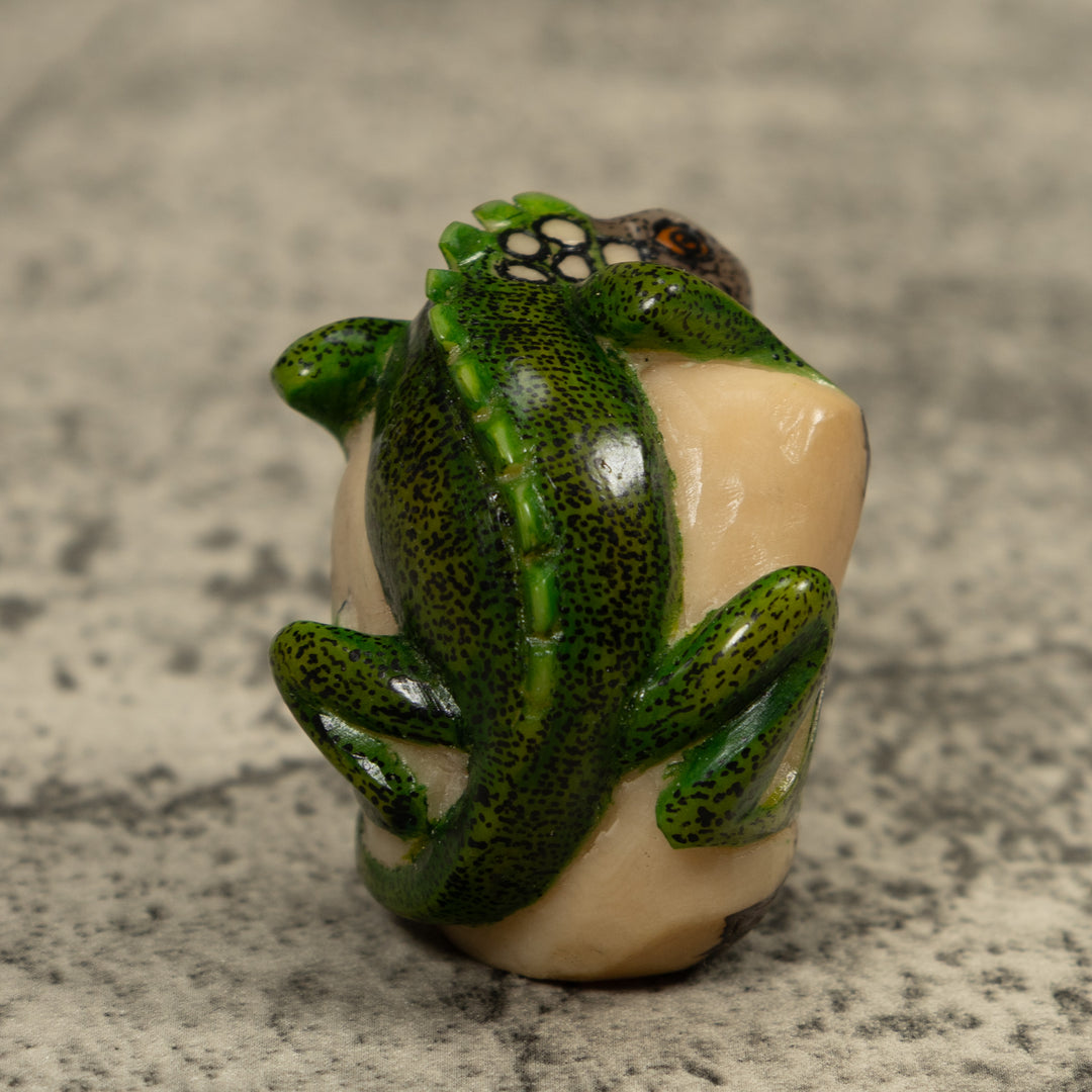 Iguana Lizard Reptile Tagua Carving
