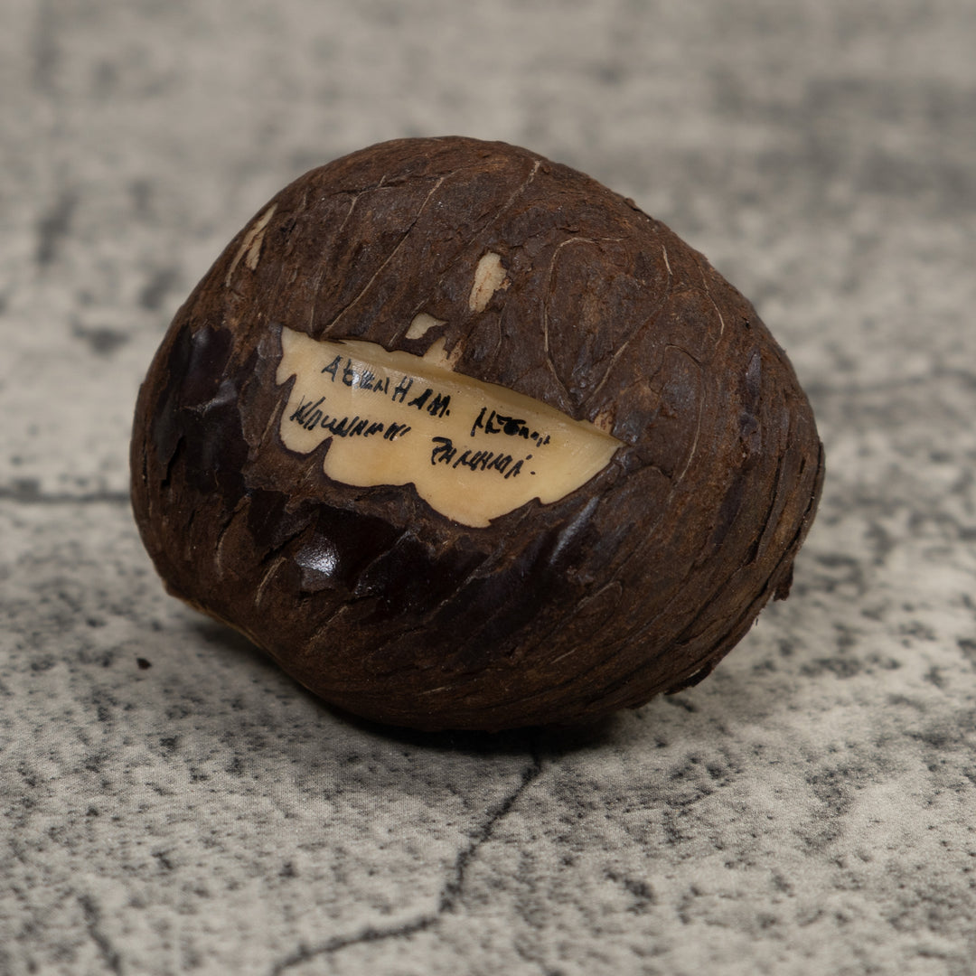 Poison Dart Frog Tagua Carving