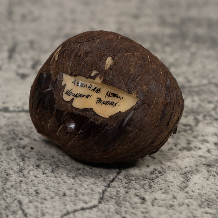 Poison Dart Frog Tagua Carving