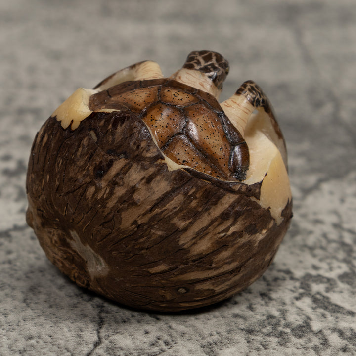 Sea Turtle Emerging From Egg Tagua Carving