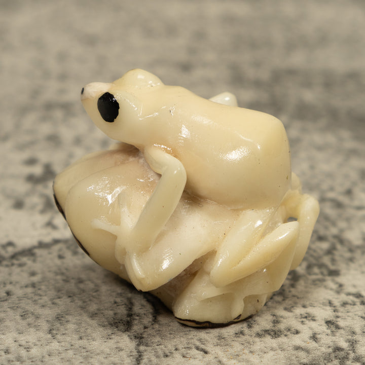 White Natural Frog Tagua Carving
