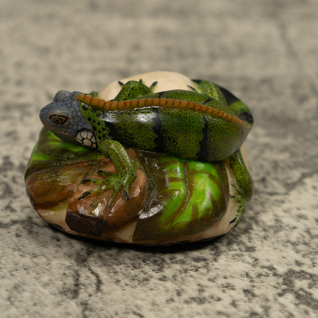 Iguana Lizard Reptile Tagua Carving
