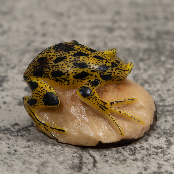 Poison Dart Frog Tagua Carving