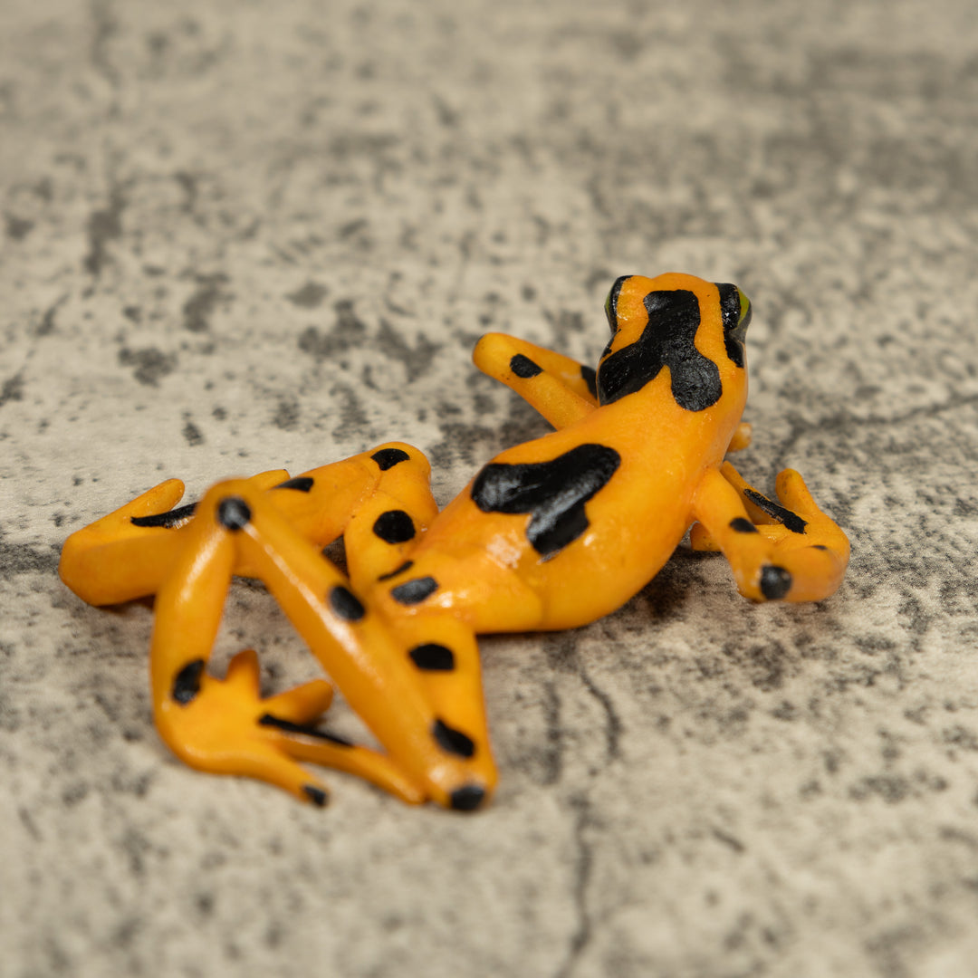 Free-Standing Golden Frog Tagua Carving
