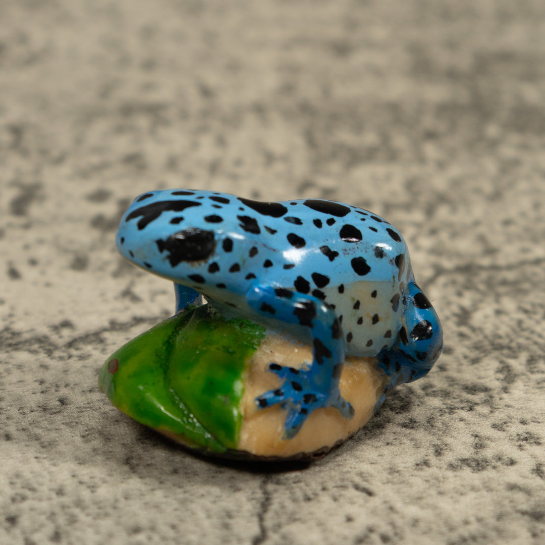 Poison Dart Blue Frog Tagua Carving