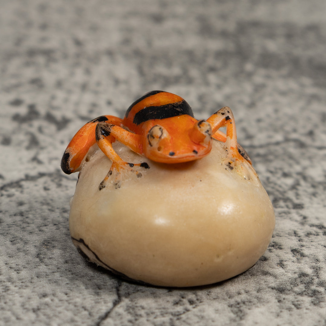 Vintage Orange And Black Poison Dart Frog Tagua Carving