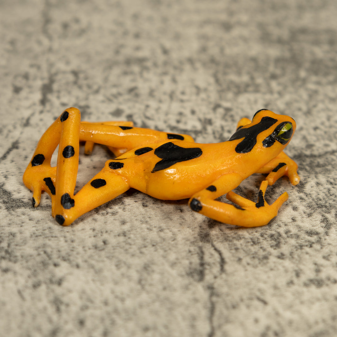 Free-Standing Golden Frog Tagua Carving