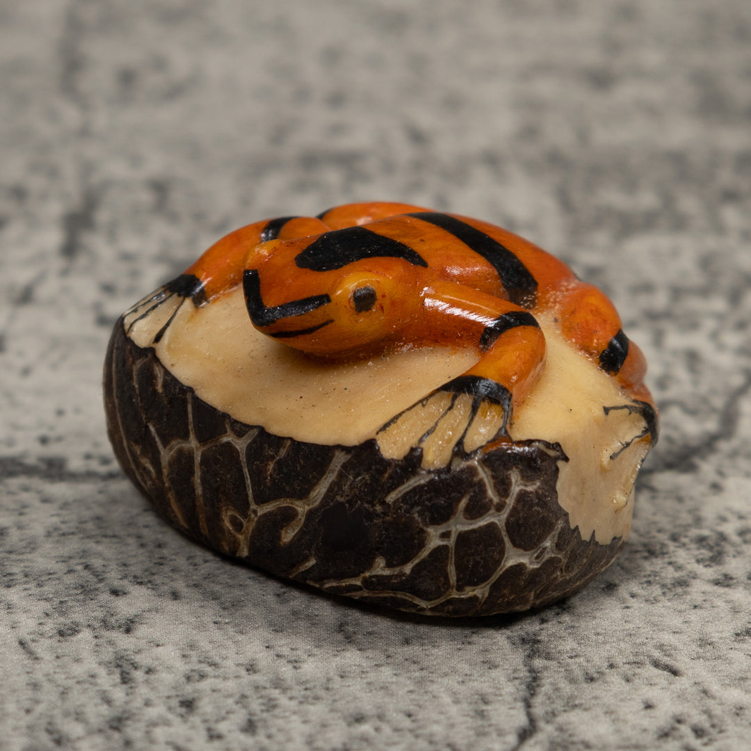 Vintage Gold And Black Frog Tagua Carving