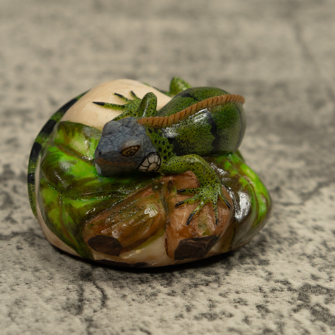 Iguana Lizard Reptile Tagua Carving