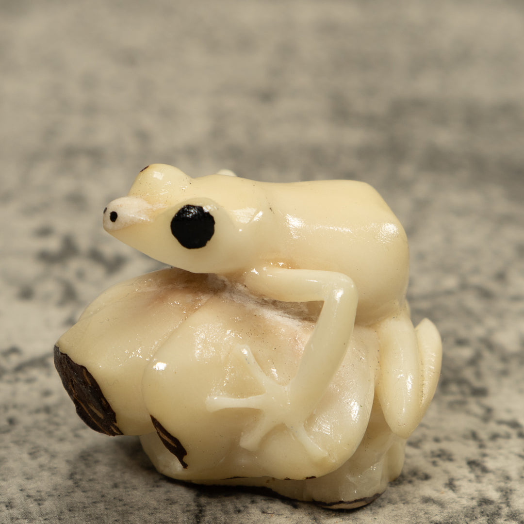 White Natural Frog Tagua Carving