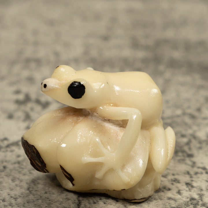White Natural Frog Tagua Carving