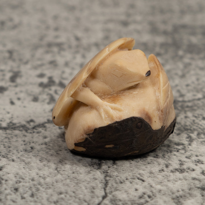 Vintage Frog And Foliage Tagua Carving