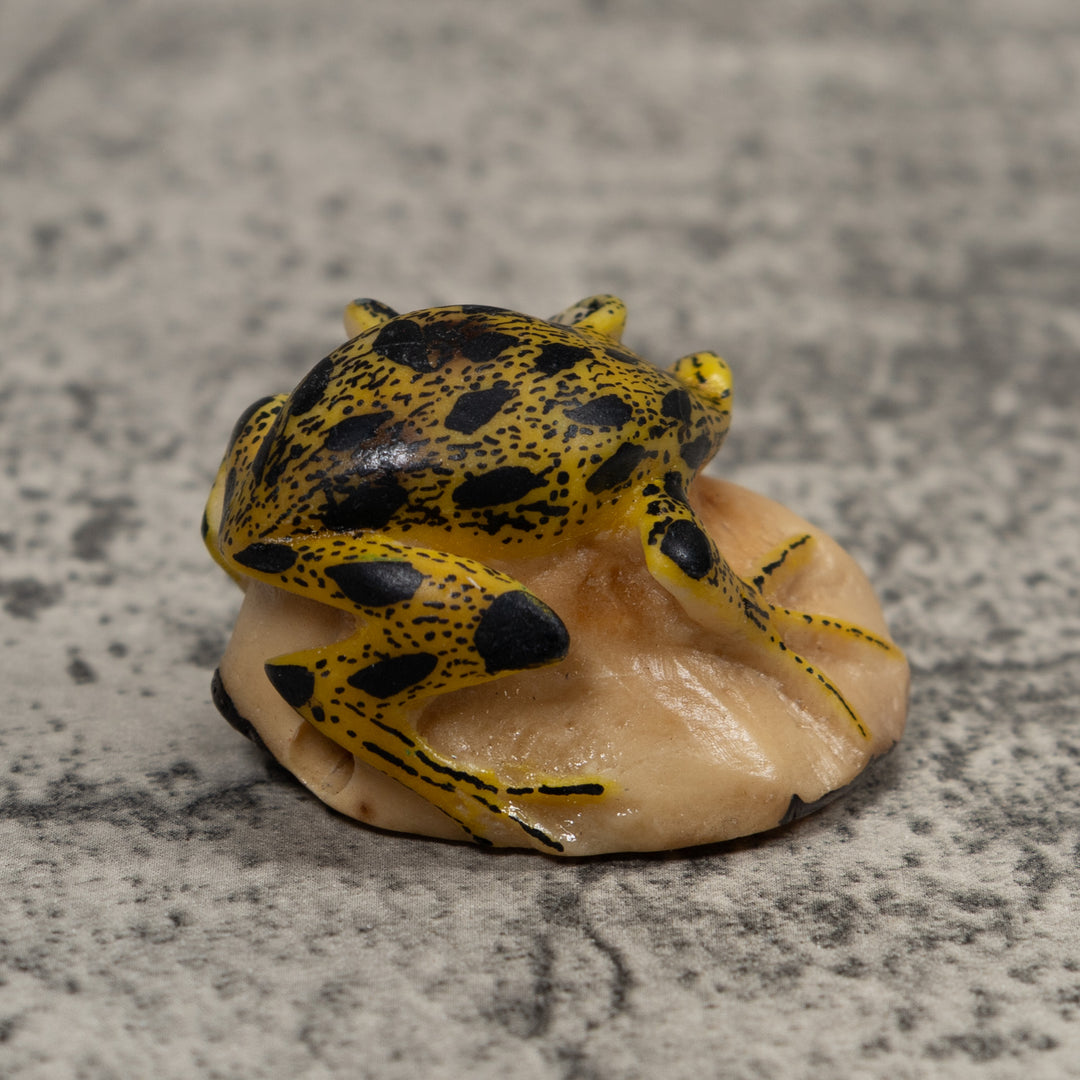 Poison Dart Frog Tagua Carving