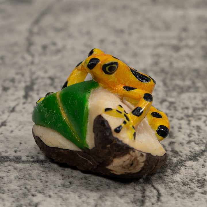 Golden Frog Tagua Carving