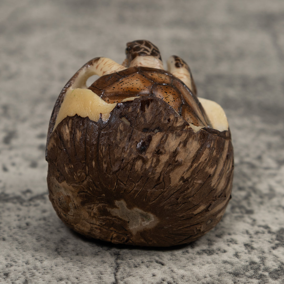 Sea Turtle Emerging From Egg Tagua Carving