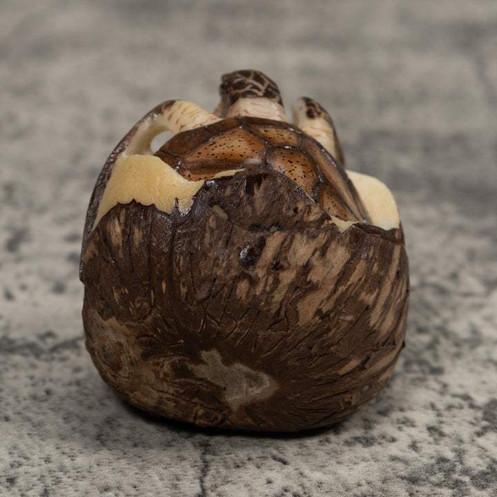 Sea Turtle Emerging From Egg Tagua Carving