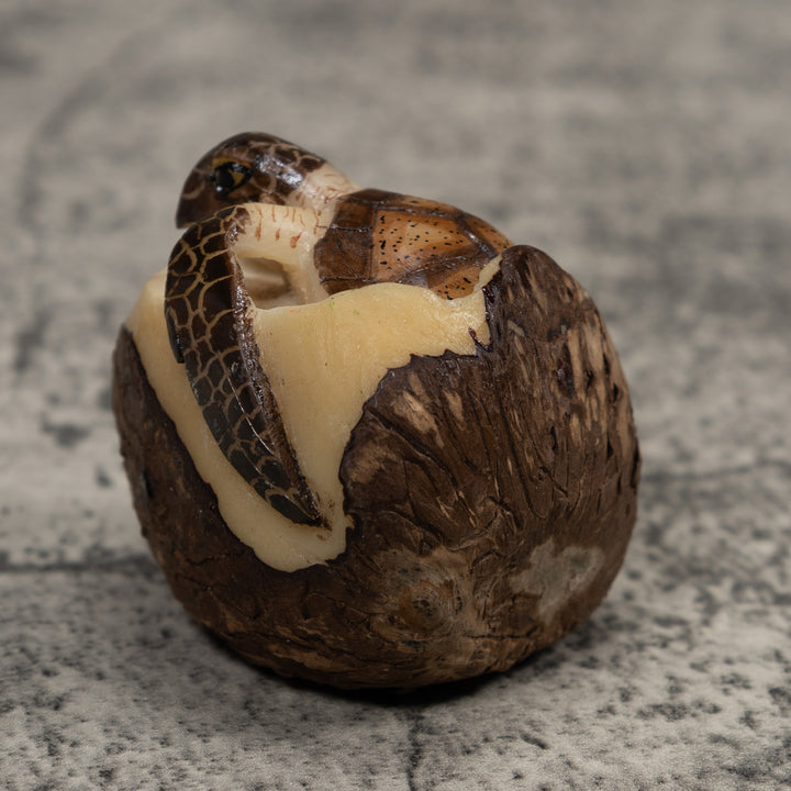 Sea Turtle Emerging From Egg Tagua Carving