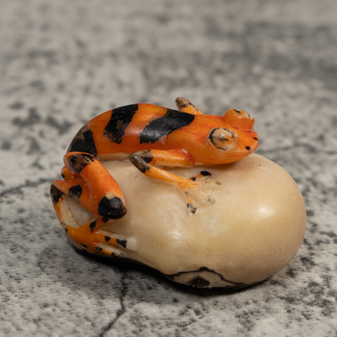 Vintage Orange And Black Poison Dart Frog Tagua Carving
