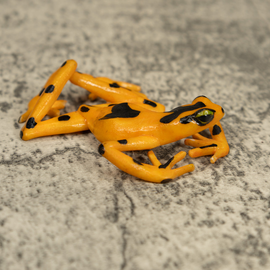 Free-Standing Golden Frog Tagua Carving