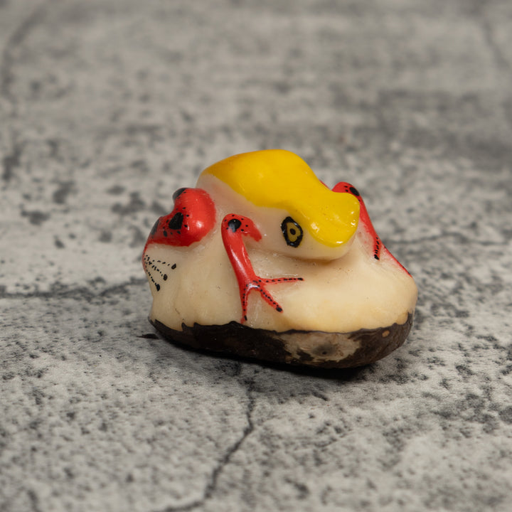 Red And Yellow Poison Dart Frog Tagua Carving
