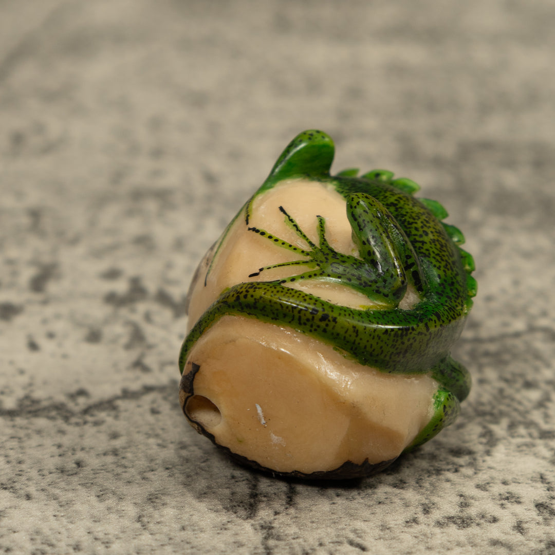 Iguana Lizard Reptile Tagua Carving