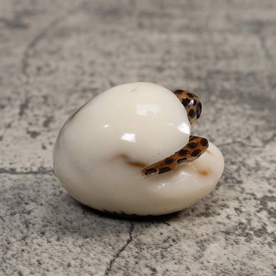 Sea Turtle With Egg Tagua Carving