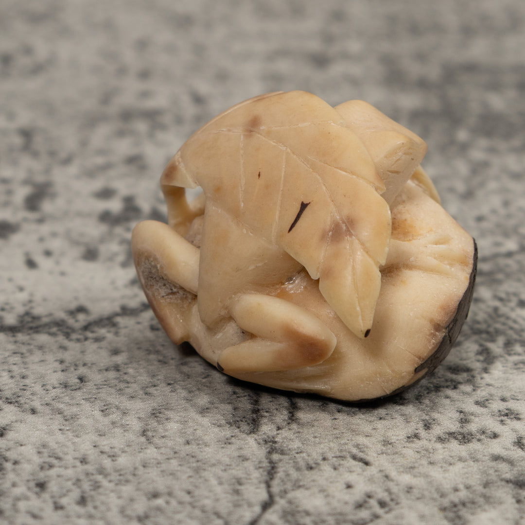 Vintage Frog And Foliage Tagua Carving