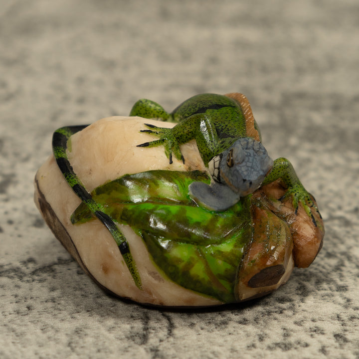 Iguana Lizard Reptile Tagua Carving