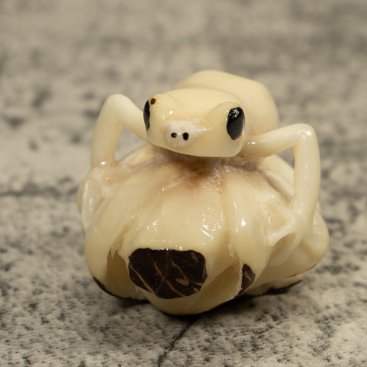 White Natural Frog Tagua Carving